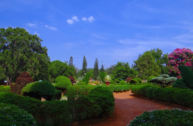 バンガロール　植物園